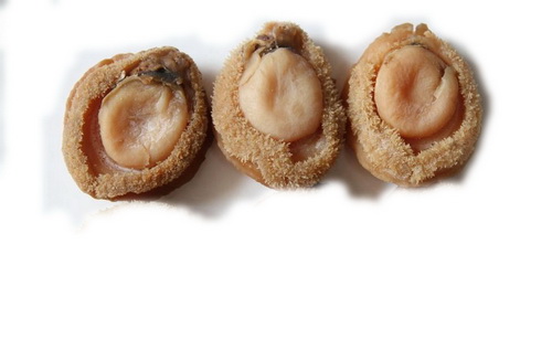 南非干鲍1_调整大小